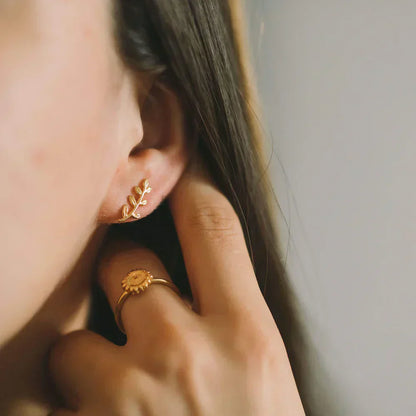Bless Fülbevaló